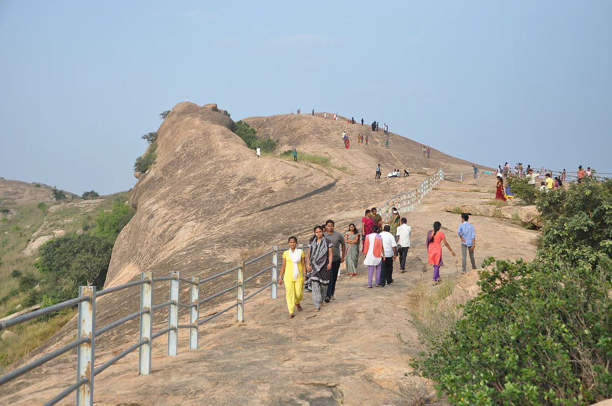 சுற்றுலா பயணிகள்