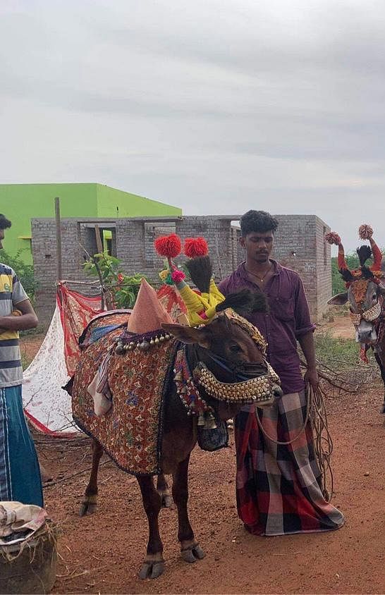 பூம் பூம் மாட்டுக்காரர்கள்