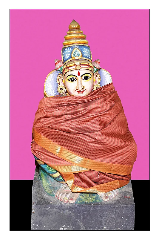ஸ்வேத நதி
