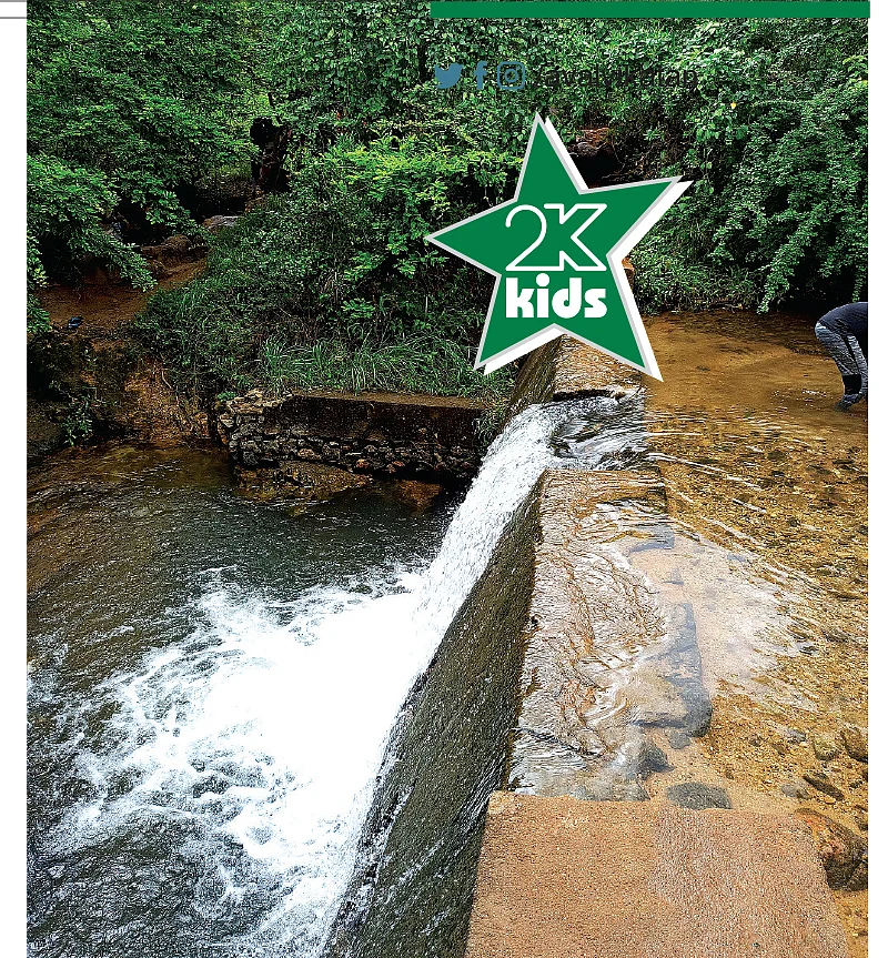 2K kids: குத்திரபாஞ்சான் அருவி! - நெல்லை மாவட்டத்தில் ஒரு மினி குற்றாலம்...
