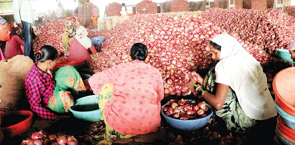 இந்தியா முழுக்க வெங்காயம் சப்ளை... பரபரக்கும் லாசல்காவ் மார்க்கெட்!