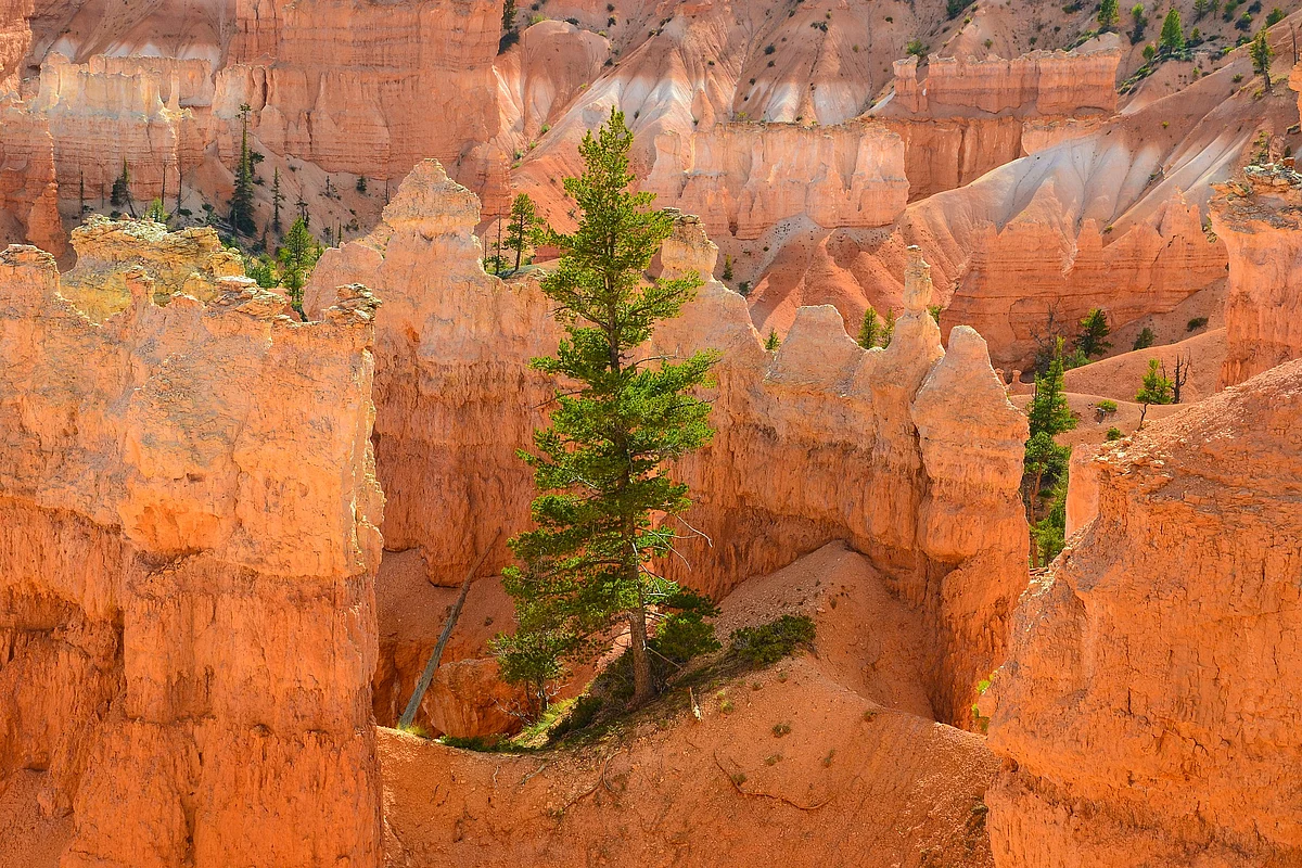 Utah