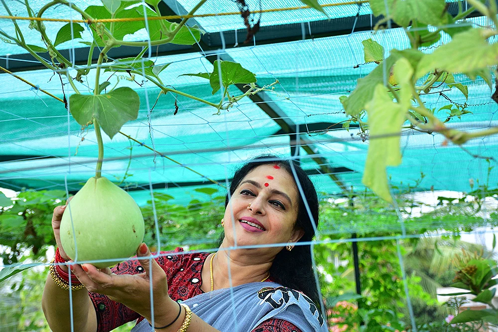 நீங்களும் வீட்டுத் தோட்டம் அமைக்கலாம்! - ஏ டு இஸட் தகவல்கள்