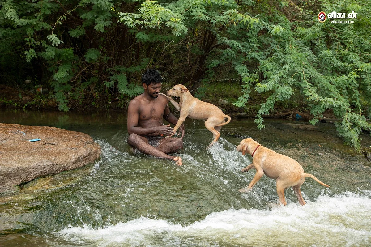 செல்லப் பிராணிகளுடன்...