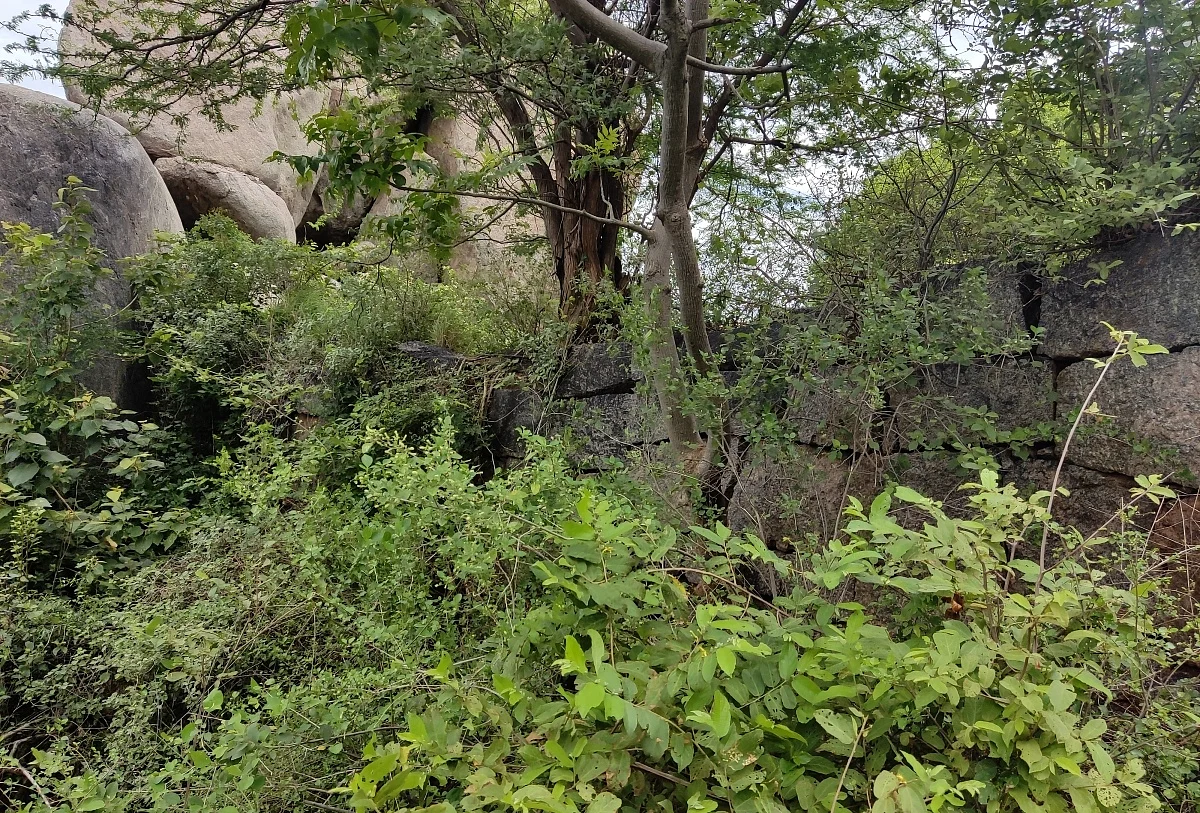 மதில் சுவர் போன்ற அமைப்பு