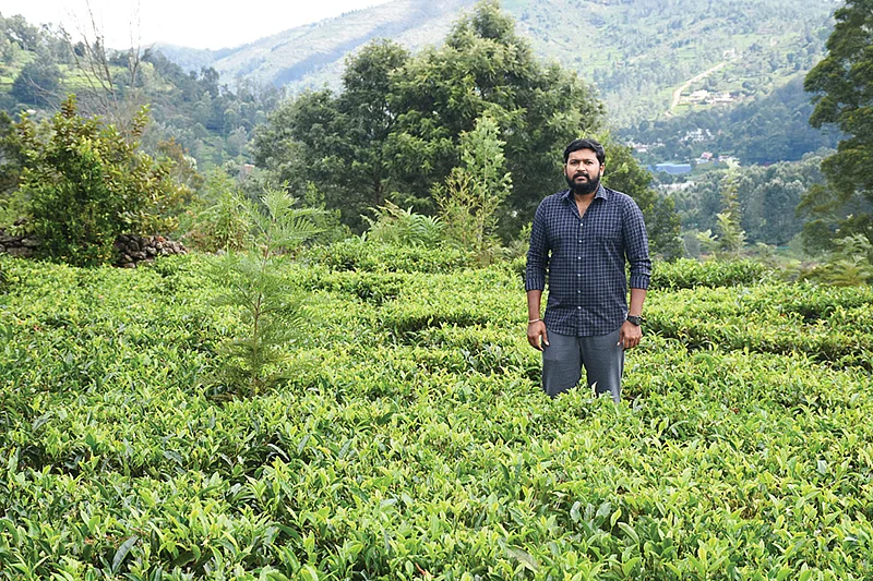 தேயிலைத் தோட்டத்தில்
