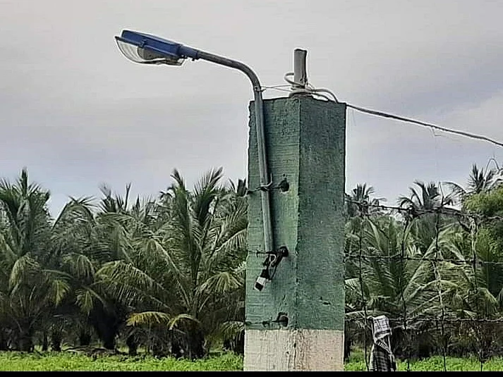 தேனி: எல்.இ.டி பல்ப் வாங்கியதில் ரூ.1 கோடி ஊழல் -பேரூராட்சி உதவி இயக்குநர் உட்பட 11 பேர் மீது வழக்கு