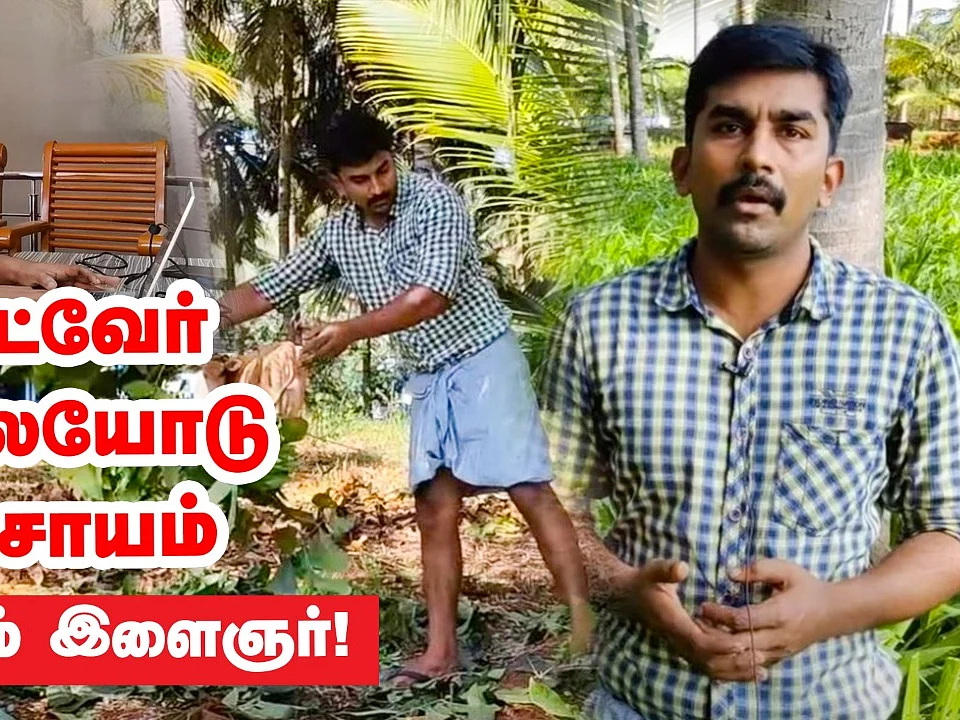 சாஃப்ட்வேர் வேலையுடன் விவசாயம்; அசத்தும் கோவை இளைஞர்! | Pasumai Vikatan