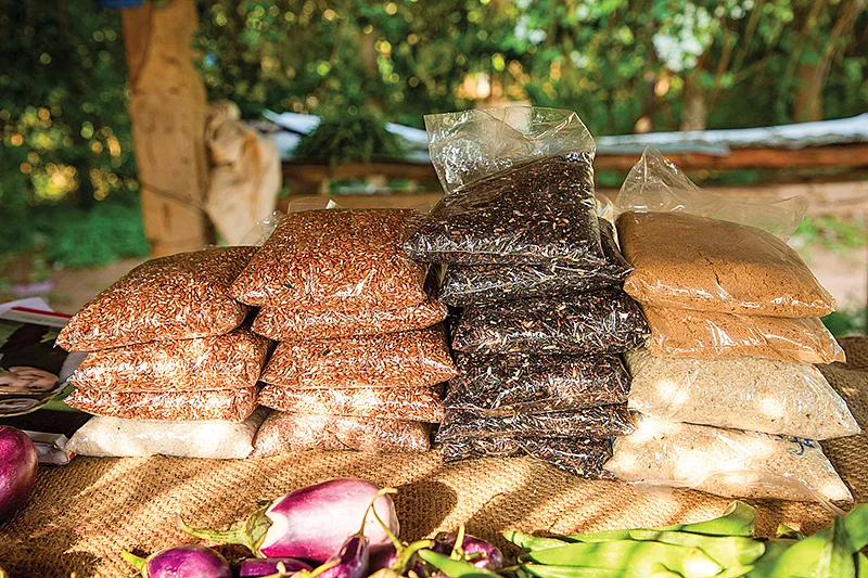பாரம்பர்ய அரிசி வகைகள்