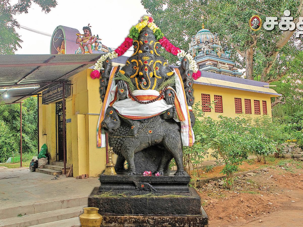விநாயகர் சதுர்த்தி: எகிப்து, காபூல், சீனா - உமை மைந்தனை உலகெங்கும் எப்படியெல்லாம் கொண்டாடுகிறார்கள்?