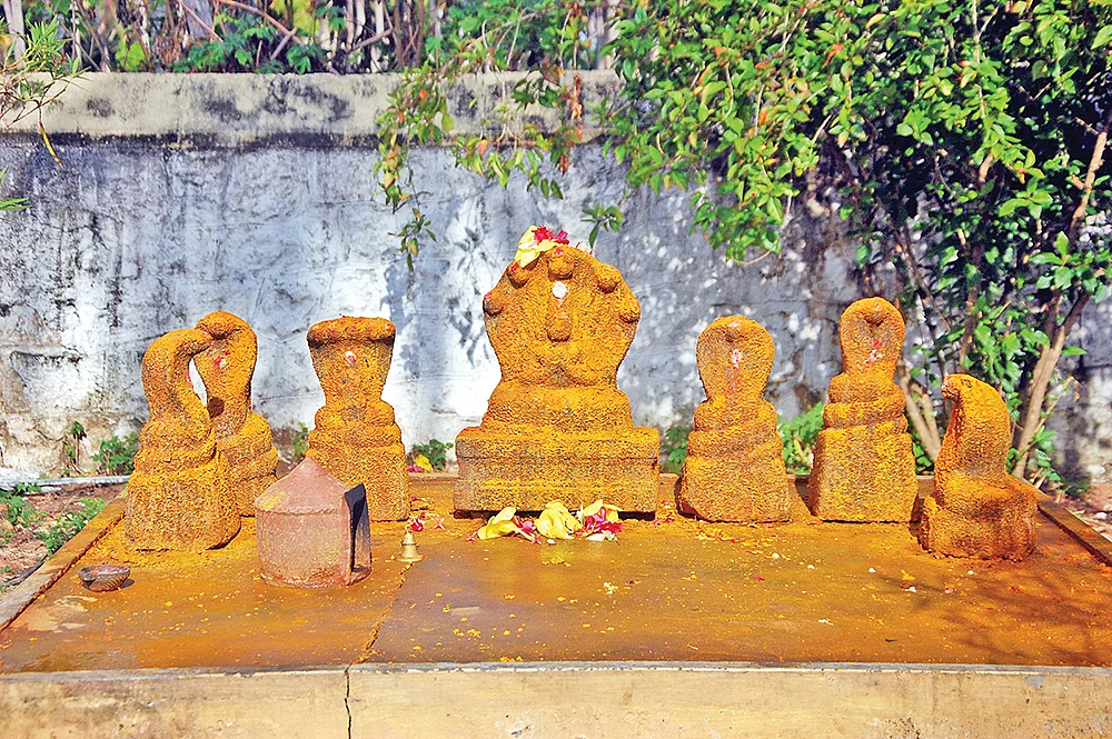 நாகர்