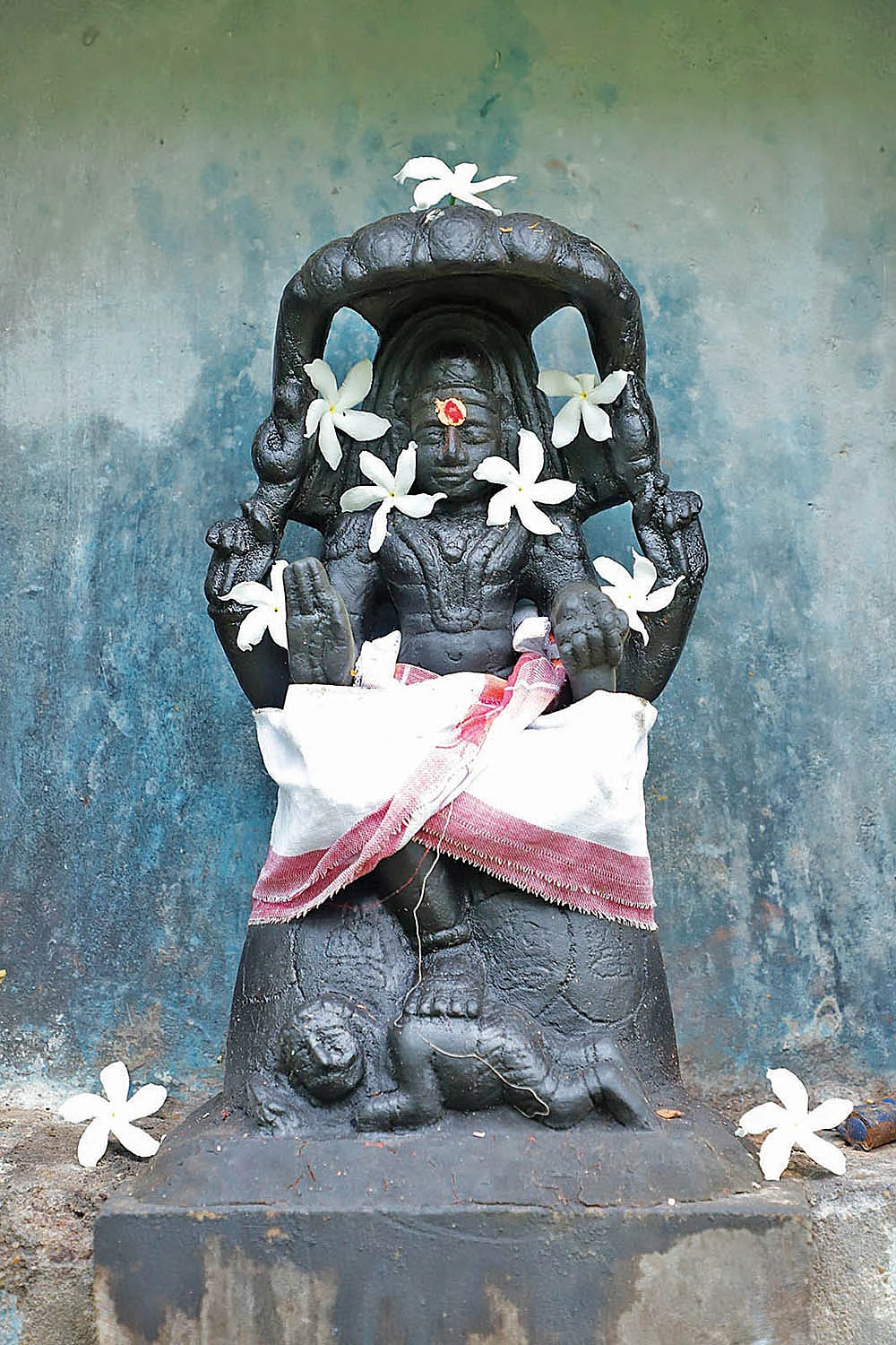 dhatchina moorthy