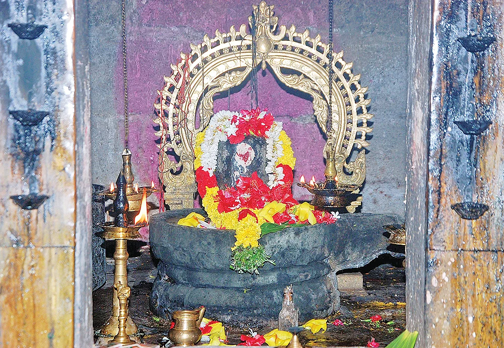 உருவில் பெரிய பைரவர் சிவப் பிரசாத மாங்கனி!