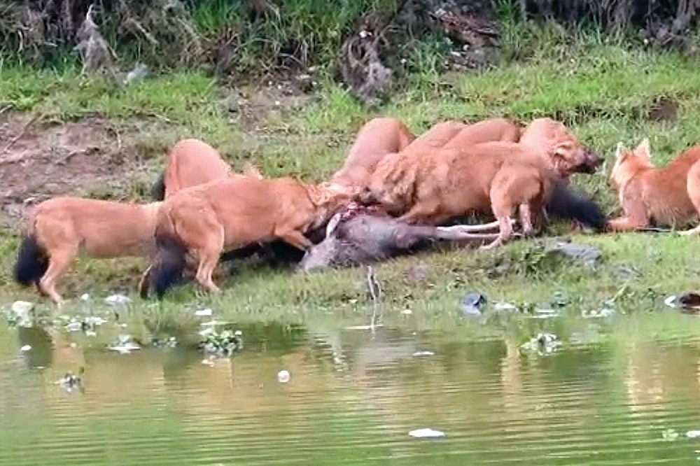 இன்பாக்ஸ்