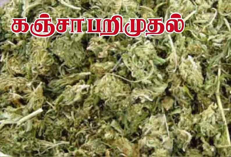 கஞ்சா இலை