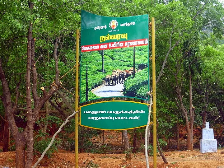 மேகமலை