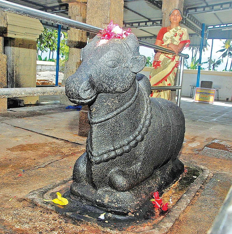 nandhi