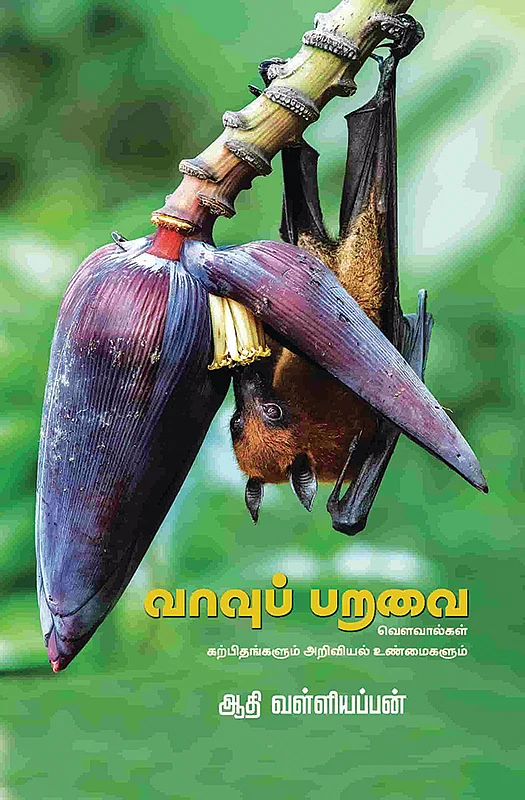 படிப்பறை