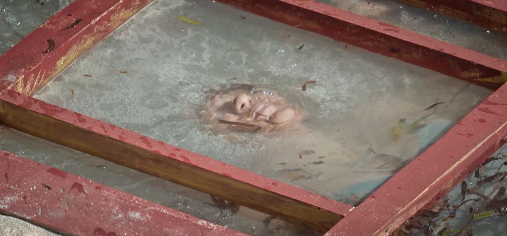 சர்வைவர் - 14