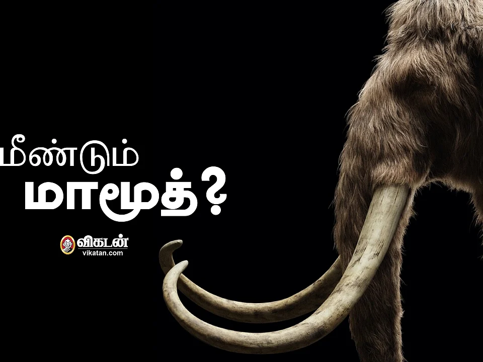 மீண்டும் உயிர்பெறுகின்றனவா மாமூத்கள்?! காலநிலை மாற்றத்திற்கும் இதற்கும் என்ன தொடர்பு?!