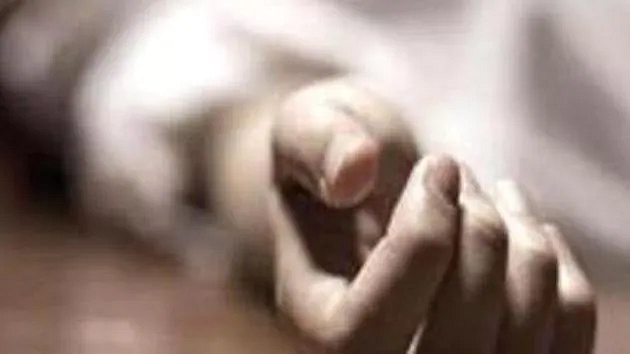 சித்திரிப்பு படம்