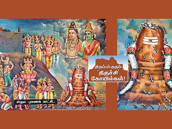 திருச்சி கோயில்கள் - 14: இன்றும் ஈசனே எறும்பாக வந்து அருளும் திருவெறும்பூர் திருத்தலம்!