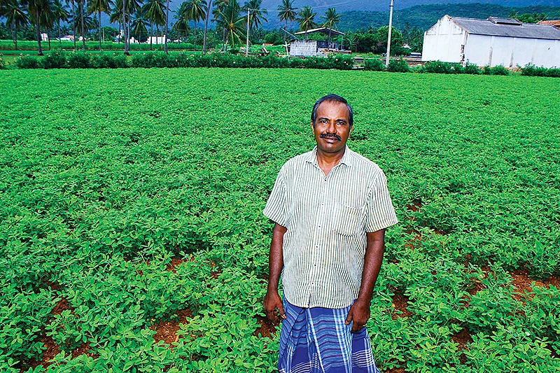 நிலக்கடலை வயலில் சரவணன்