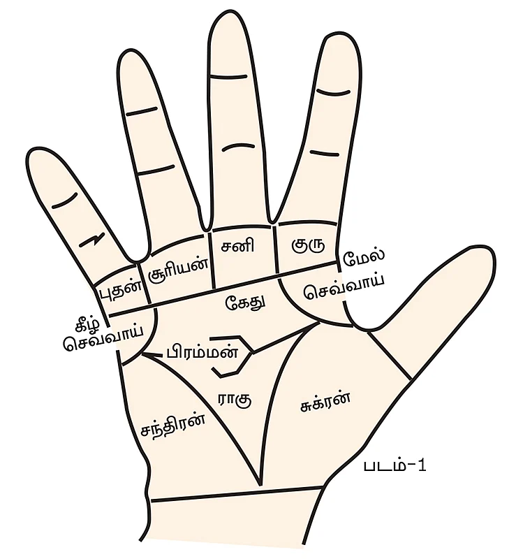 செவ்வாய் மேடு