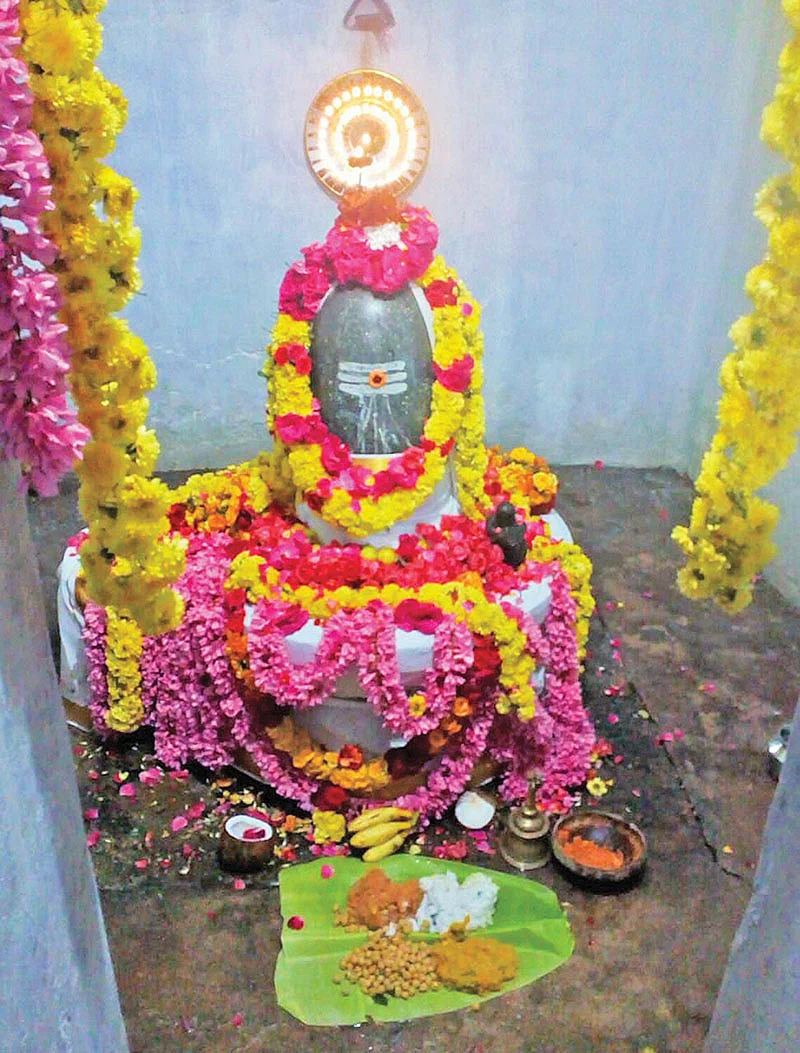 நோய் தீர்க்கும் மருத்துவனுக்கு ஆலயம் எழும்பட்டும்!