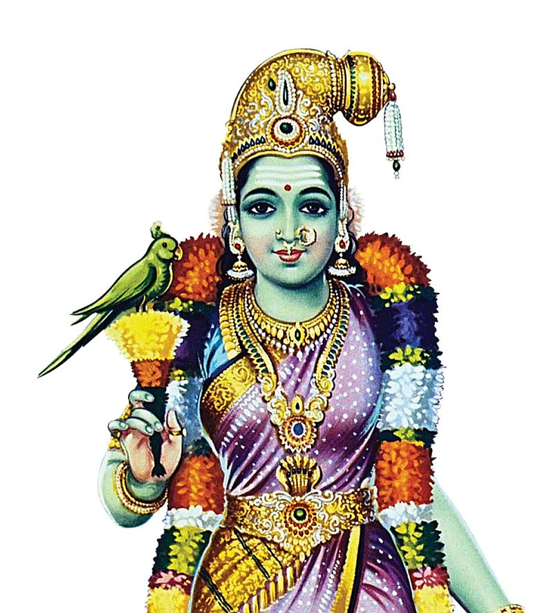 மீனாளின் நயன தீட்சை