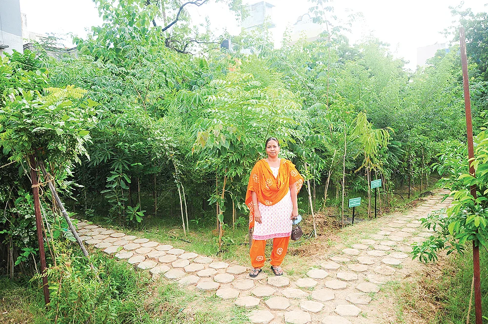 அடர்வனத்தில் தீபா