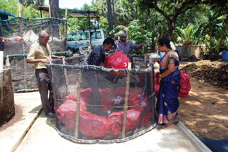 மண்புழு உரநீர் தயாரிக்கும் கட்டுமான அமைப்பு