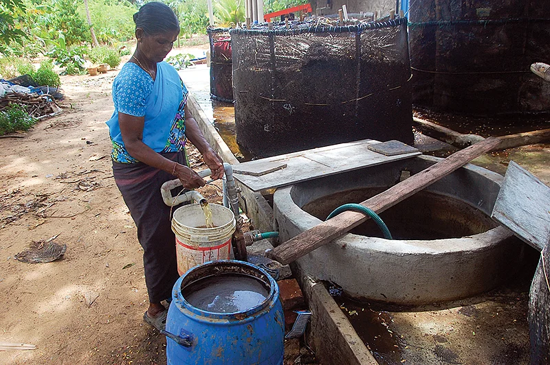மண்புழு உரநீர் தயாரிக்கும் கட்டுமான அமைப்பு