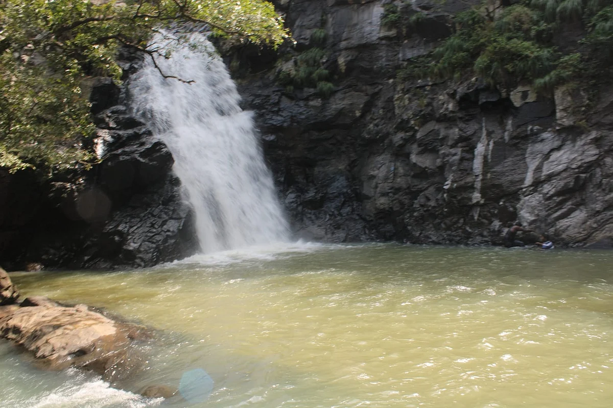 கோரையாறு அருவி