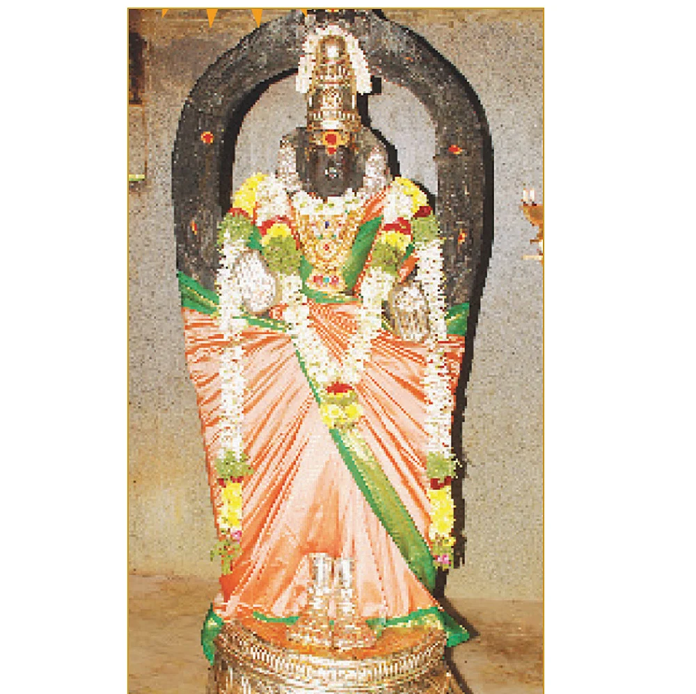 ‘ஆசையோடு சேர்த்த தயிர் தங்கமே தங்கம்’