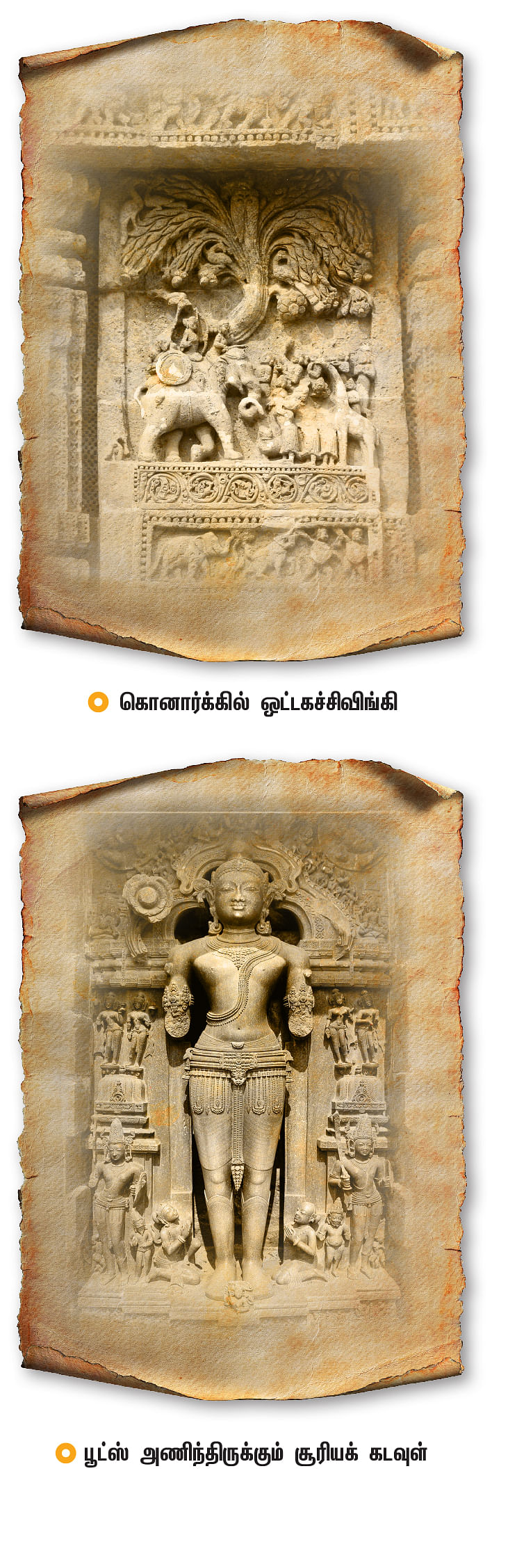 கொனார்க்கில் ஓட்டகச்சிவிங்கி