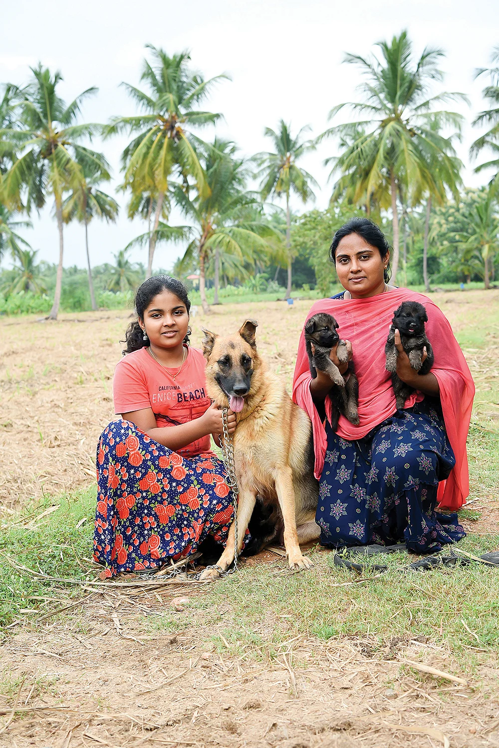 நாய்கள் வளர்ப்பு