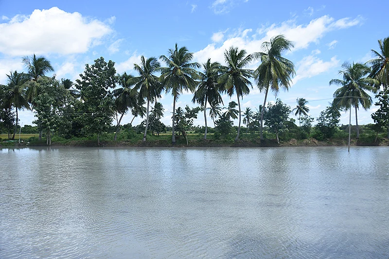 பண்ணையில்
