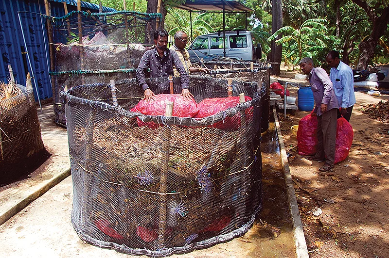 மண்புழு உரநீர் தயாரிக்கும் கட்டுமான அமைப்பு