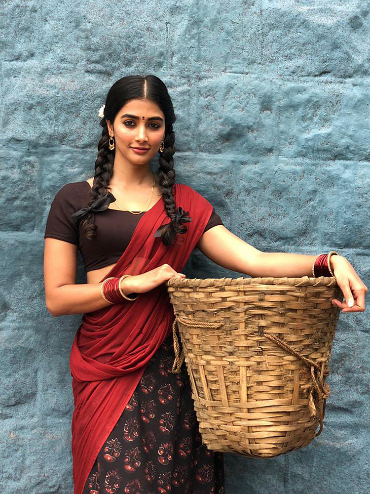மிஸ்டர் மியாவ்