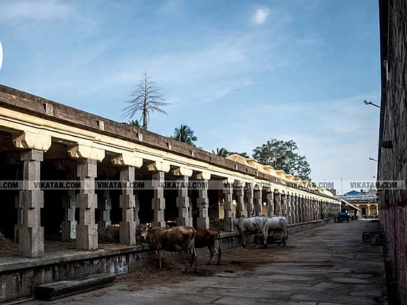 திருச்சி ஹேங்கவுட்: அழகிய சிற்பங்கள், அரூபமான ஆண்டவன் - ஆத்மநாதரின் ஆவுடையார்கோவில் அற்புதங்கள்!