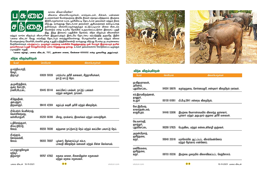 பசுமை சந்தை