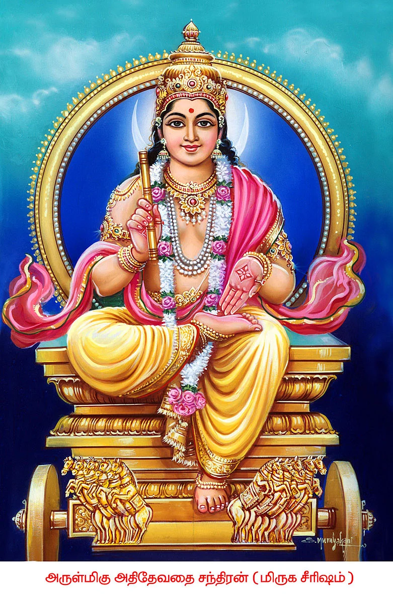 குருப்பெயர்ச்சி
நட்சத்திர பலன்கள்
ரோகிணி, மிருகசீரிடம், திருவாதிரை, புனர்பூசம்