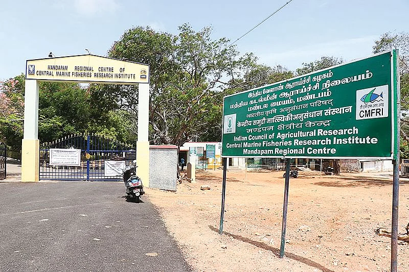 மண்டபம் மத்திய கடல் மீன்வள ஆராய்ச்சி மையம்