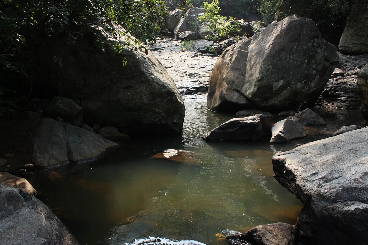 கோரையாறு
