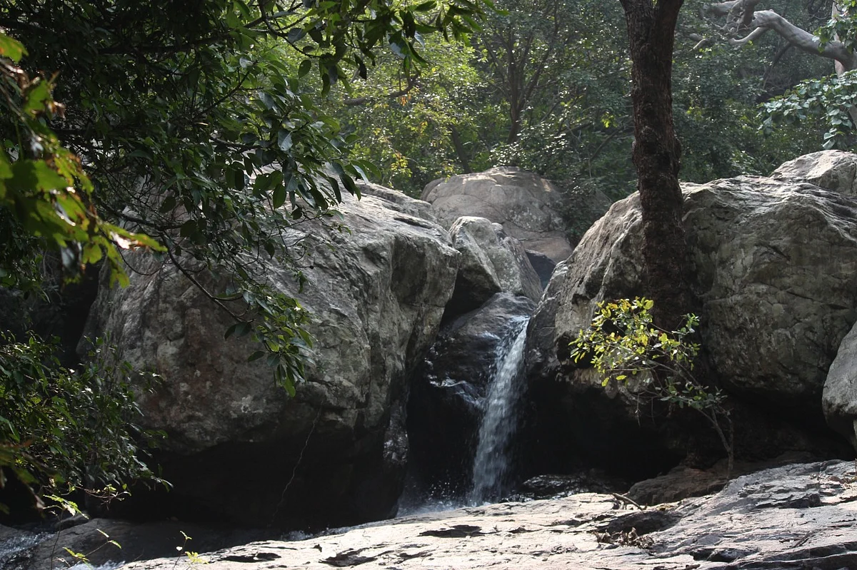 கோரையாறு