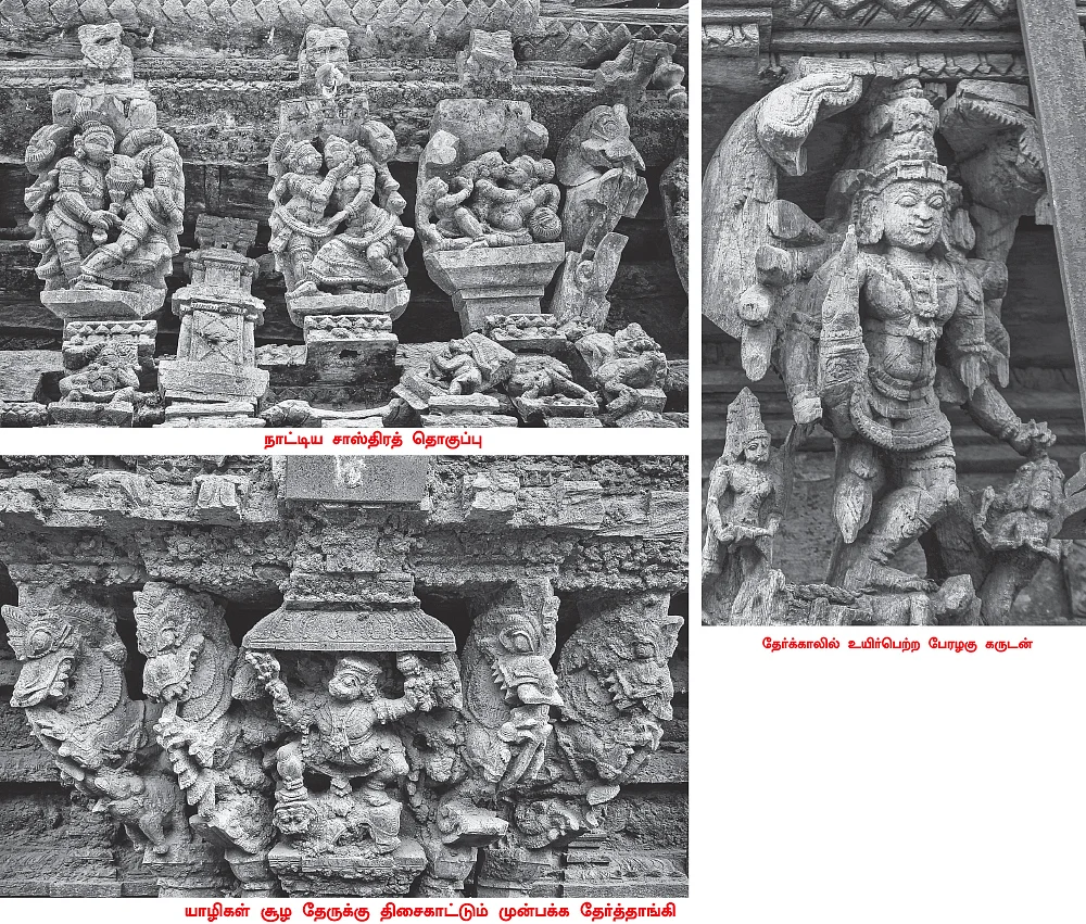 சிதைந்துகொண்டிருக்கும் மரப்புத்தகங்கள்!