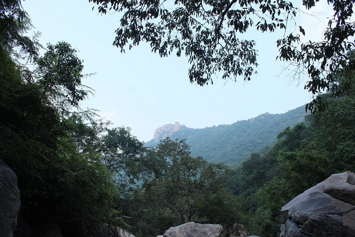 கோரையாறு
