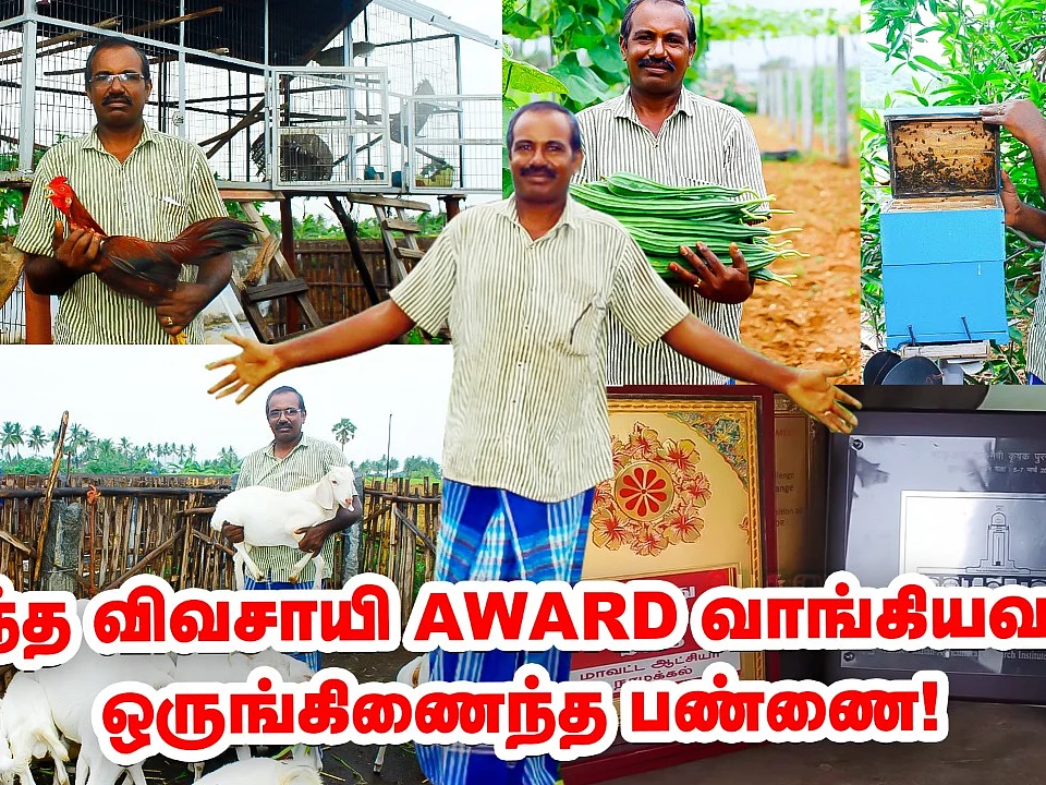 ஆடு, மாடு, கோழி; வருடம் முழுக்க காய்கறி; அட்டகாசமான பண்ணை! | Pasumai Vikatan