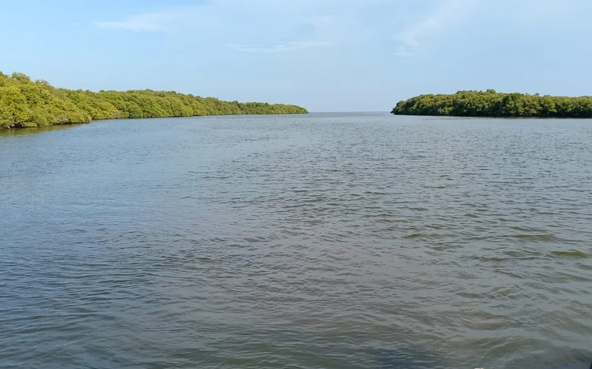 முத்துக்குடா